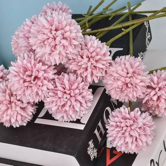 Pink Dandelion