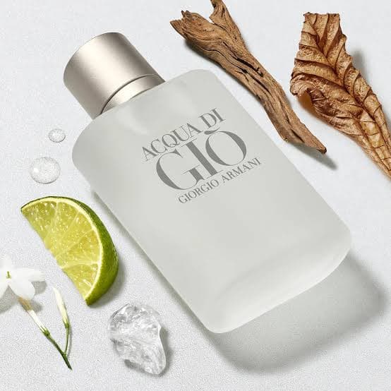 Giorgio Armani Acqua Di Gio EDT 100ML