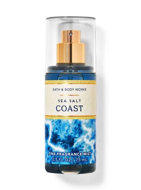 Bath & Body Works Sea Salt Coast Travel Size Mist