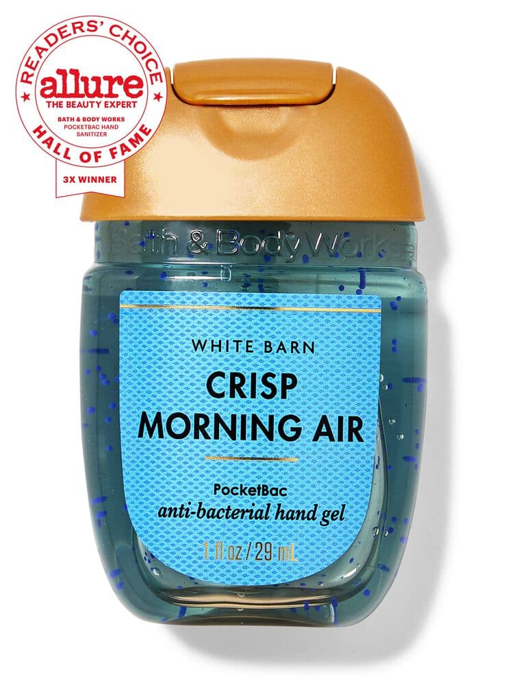 Bath & Body Works Crisp Morning Air PocketBac