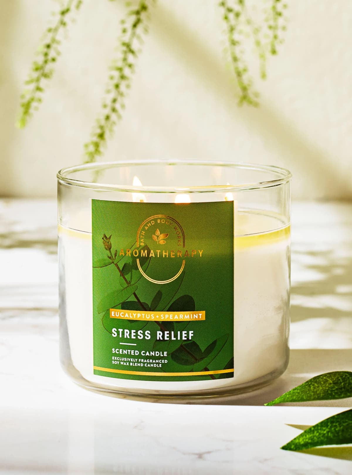 Bath & Body Works Eucalyptus Spearmint 3-wick candle
