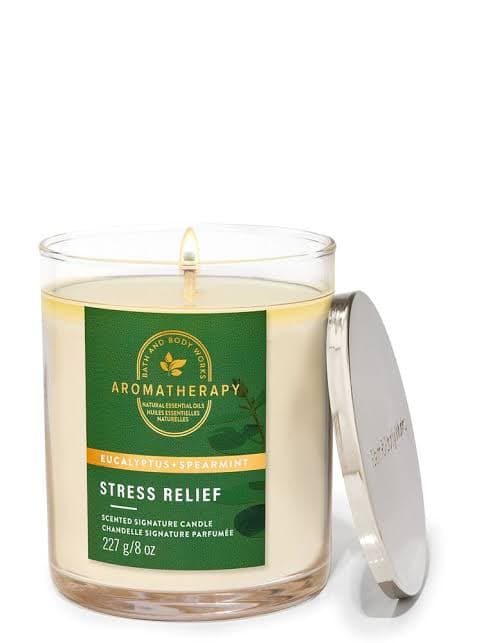 Bath & Body Works Eucalyptus Spearmint Single Wick Candle
