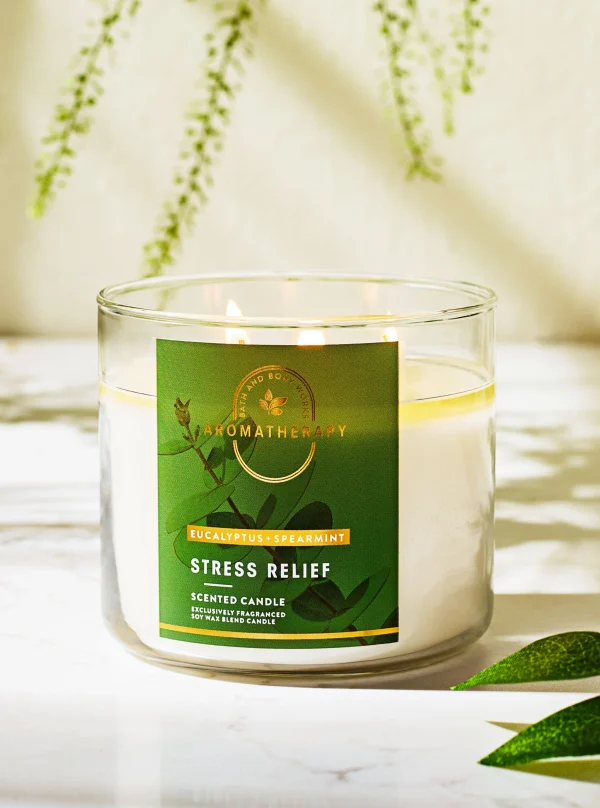 Bath & Body Works Eucalyptus Spearmint 3-wick candle